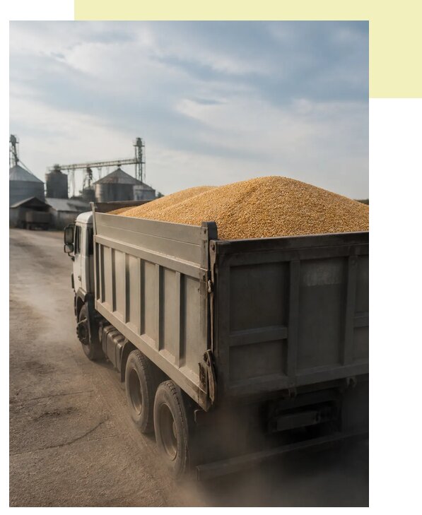 Перевозка сельхозпродукции навалом в Кандалакшу по цене от 3031 р. | Агросервис-Кнд
